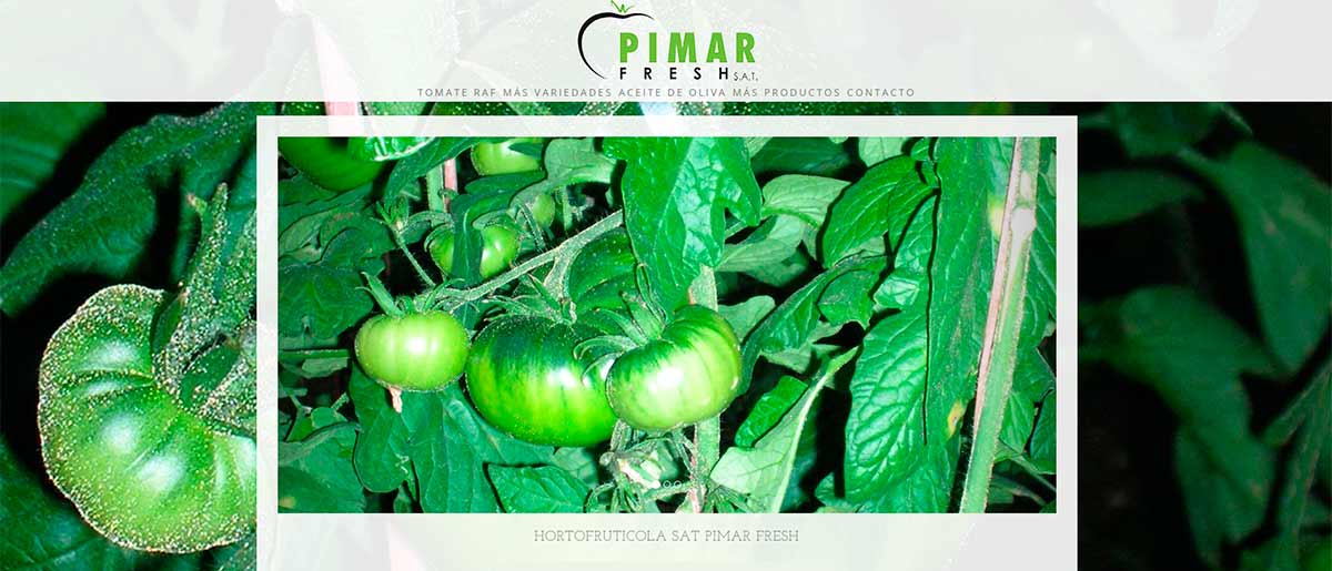Hortifruticola Pimar fresh, Níjar